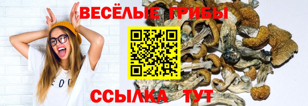 Галлюциногенные грибы ЛСД Волгоград
