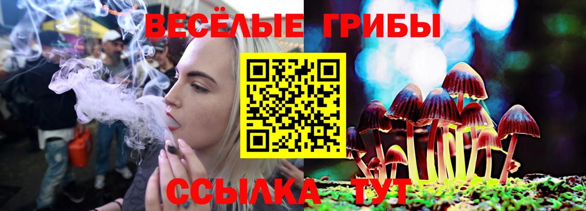 Псилоцибиновые грибы прущие грибы  Вход с VPN  Псилоцибиновые грибы Psilocybine cubensis  Волгоград 